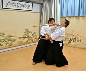 Stickfighting in Köln, Martial arts with weapons: Bo, Jo, Tanjo, Kusarigama